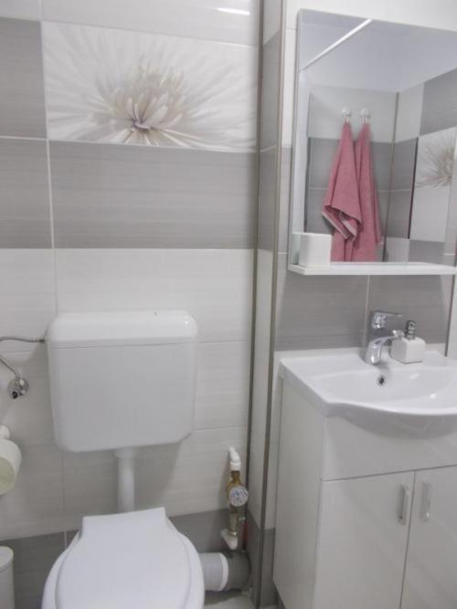 Apartament Tanya Apartman Tergovistye Kültér fotó